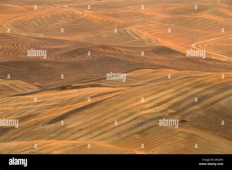 Golden patterns after the harvest of wheat fields in the Palouse ...