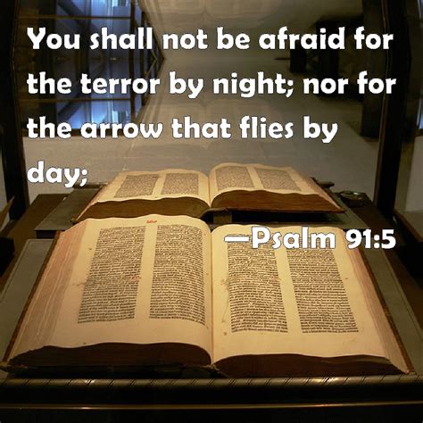 Psalm 915 You Shall Not Be Afraid For The Terror By Night Nor For The