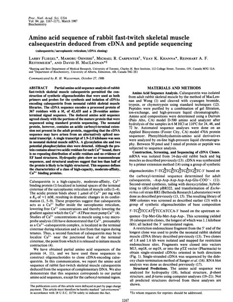 PDF Amino Acid Sequence Of Rabbit Fast Twitch Skeletal Muscle