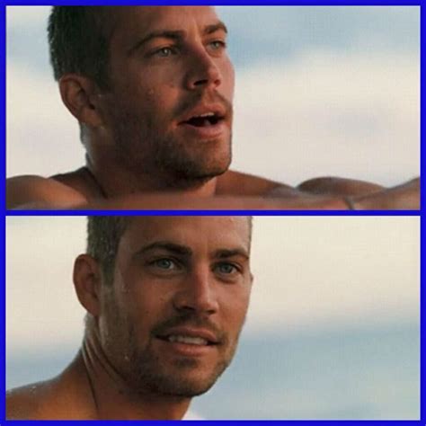 Paul Walker Into The Blue Paul Walker Pictures Paul Walker Rip