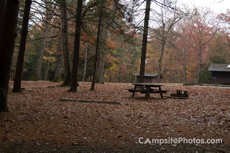 Babcock State Park - Campsite Photos, Reservations & Camping Info