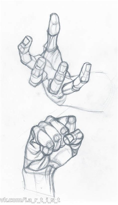 pin  mitokondrium  rajz sketches art reference  art reference