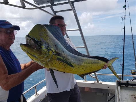 Trolling Tips and Techniques - Gold Coast Fishing Charters