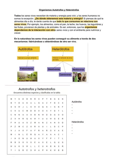 Recursos Para Trabajar El Ciclo De Vida De Las Plantas Fotosíntesis Estructura Y Necesidades