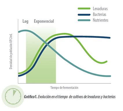 Eficacia De Los Cultivos Activos De Levaduras En La Mejora De