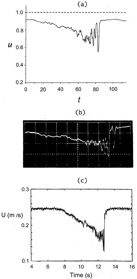 Perspective View Showing The Magnitude Of Instantaneous Streamwise