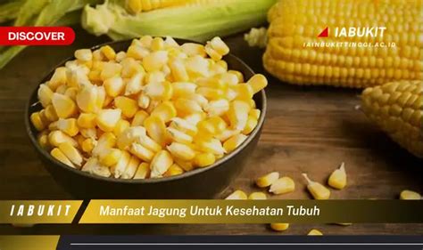 Intip Manfaat Jagung Untuk Kesehatan Tubuh Yang Bikin Kamu Penasaran