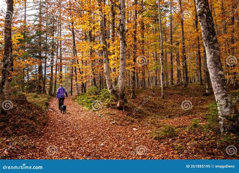 Hiking Through The Vrata Valley In Autumn Triglav National Park In