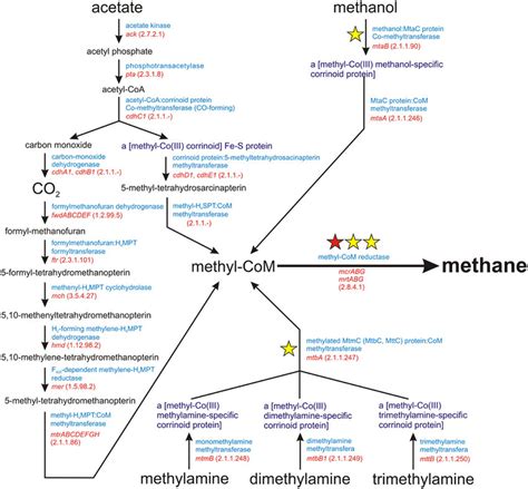 Methanogenesis