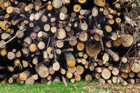 Colhendo Lenha Para O Inverno Pilha De Lenha Empilhada Preparada Para