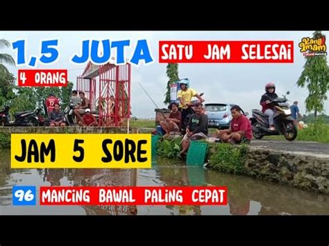 96 NEKAT BANGET POKOKE JAM 5 SORE BARU MULAI MANCING BAWAL