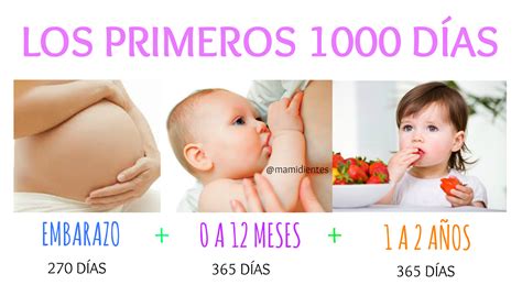 La Importancia De Los Primeros 1000 Días De Tu Bebé Mami Dientes