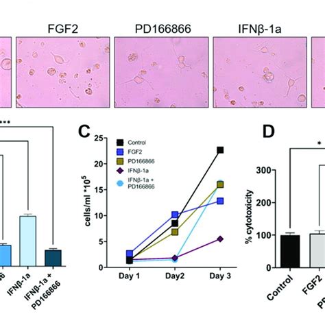 The proliferation and cytotoxicity effects of IFNβ 1a and FGFR1