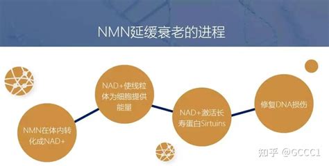 Nmn？nmn是什么？nmn有何作用？ 知乎