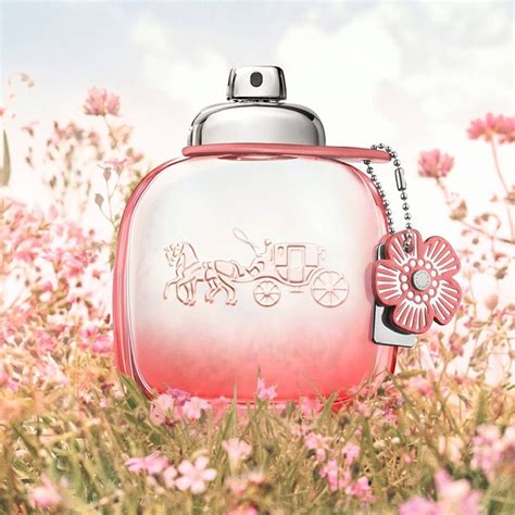 Nước hoa nữ Coach Floral Blush namperfume