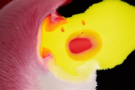 Pink and Yellow Paint in Close Up Shot · Free Stock Photo