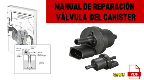 Manual De Reparaci N V Lvula De Purga Del Canister Pdf Online