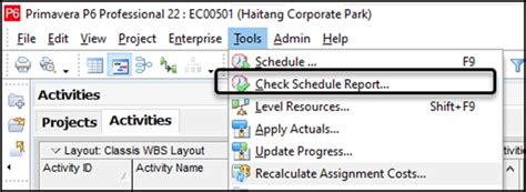 Oracle Primavera P6 PPM Professional Check Schedule Report