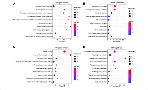 Functional Enrichment Analysis Of The Degs Between The Two Clusters