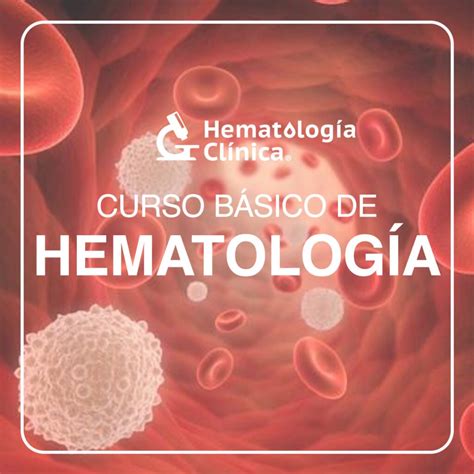 Curso B Sico De Hematolog A Agosto Hematolog A Cl Nica Cursos