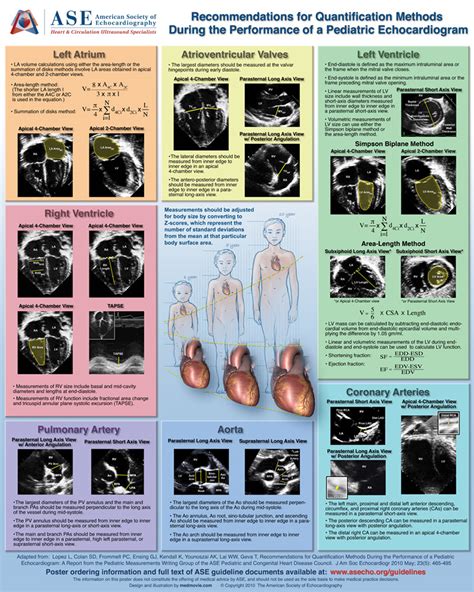 Medmovie American Society Of Echocardiography Projects