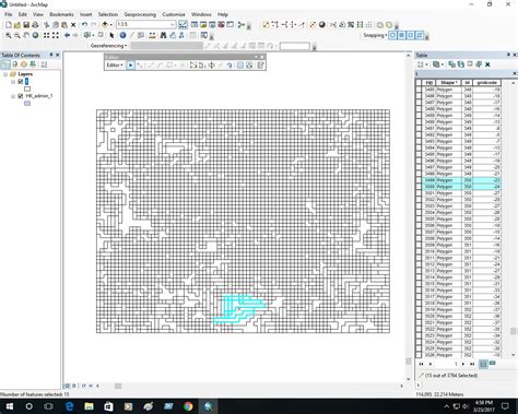 Interpreting Post Raster To Polygon Conversion Data From Arcgis Desktop