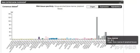 2021年最新4非肿瘤生信套路，只要有数据集，我就可以发篇sci给你看！（附完整复现教程） 知乎