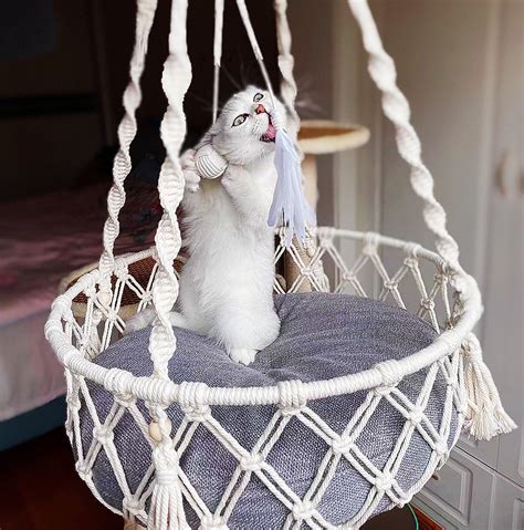 Different Sizes Of Macrame Cat Hammocks With Pillow Hanging Etsy