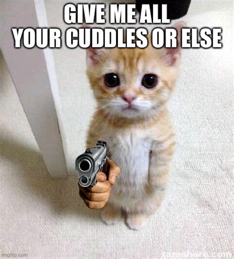 Give All Cuddles Now Imgflip