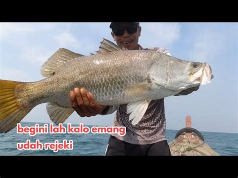 Spot Mancing Kakap Putih Paling Edyan Kapal Karam Domas Youtube