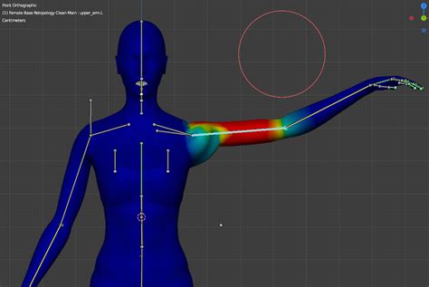 Help With Weight Painting Shoulders Animation And Rigging Blender