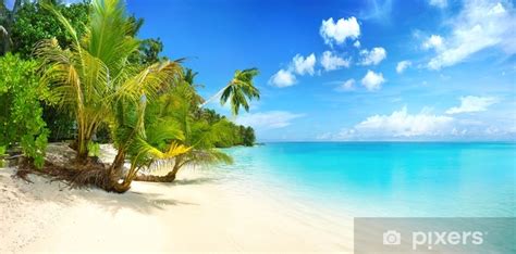 Transparant Gordijn Prachtig Strand Met Wit Zand Turquoise Oceaan