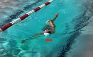 Freestyle Swimming Improvement Tips For Beginners Rocket Swimming