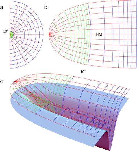 A Retinal Grid Which Serves As A Reference Frame In The Lagrangian