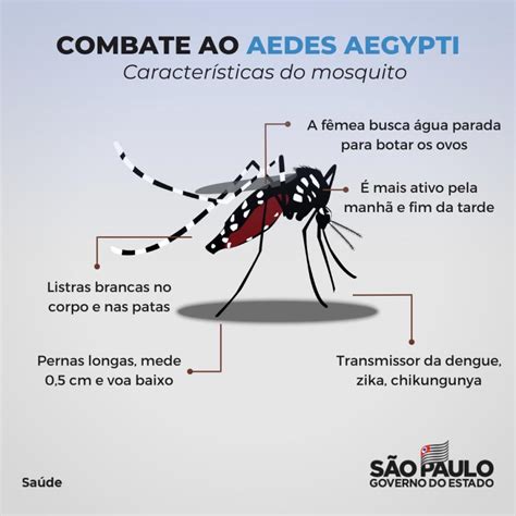 Aumento Nos Casos De Dengue Especialista Aponta Os Principais Sintomas