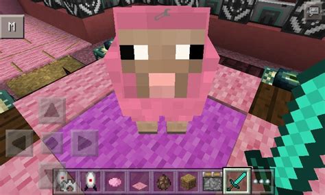 All Hail Pink Sheep Explodingtnts Reference Minecraft Amino