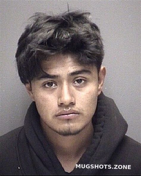 Ramirez Chacon Jose Julio 01082024 Galveston County Mugshots Zone