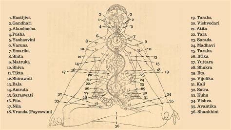 Image The 36 Nadis Of Body As Seen In Shatchakra Niroopana Chittra By