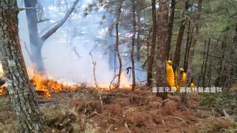 Ncc前專委盜木生火釀玉山燒山12天 林務局求償逾2億