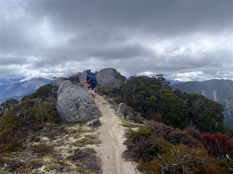 Old Ghost Road Gallery - Bush and Beyond