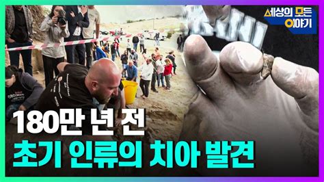 180만 년 전 초기 인류의 치아 발견한 조지아 고고학자들ㅣ세모이 36회 Ytn2 Youtube