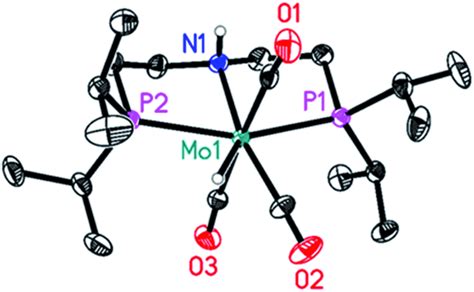 Molecular Structure Of {mo H Co 3[hn Ch2ch2p Ch Ch3 2 2 2]}bf416 Bf4 Download Scientific