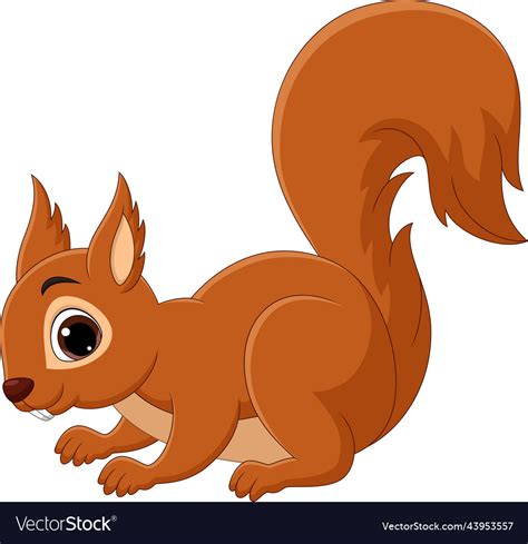 Cartoon happy squirrel isolated on white Vector Image