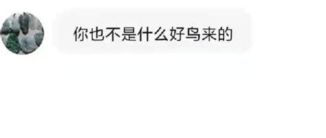 攻擊劉學洲的百萬粉絲網紅被封，真話哥說了假話，暖心姐令人寒心 壹讀