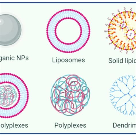 A Schematic Representation Of Some Nanocarriers Used For Mirna Delivery