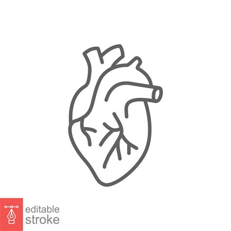 Human heart icon. Simple outline style. Internal organ, real ...