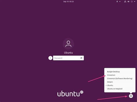 C Mo Instalar El Entorno De Escritorio Cinnamon En Ubuntu Lts