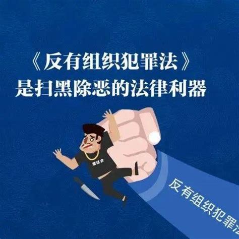 反有组织犯罪法亮点解读（三）杨浦处理基层