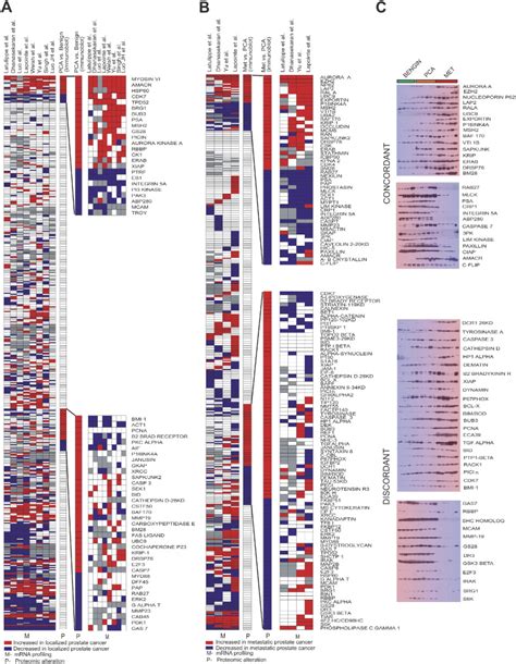 Integrative Genomic And Proteomic Analysis Of Prostate Cancer Reveals