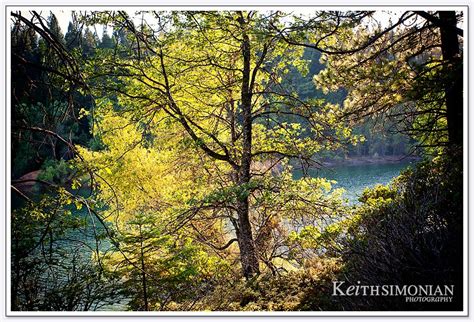 Jenkinson Lake Water Fall Sly Park Recreation Area Keith Simonian